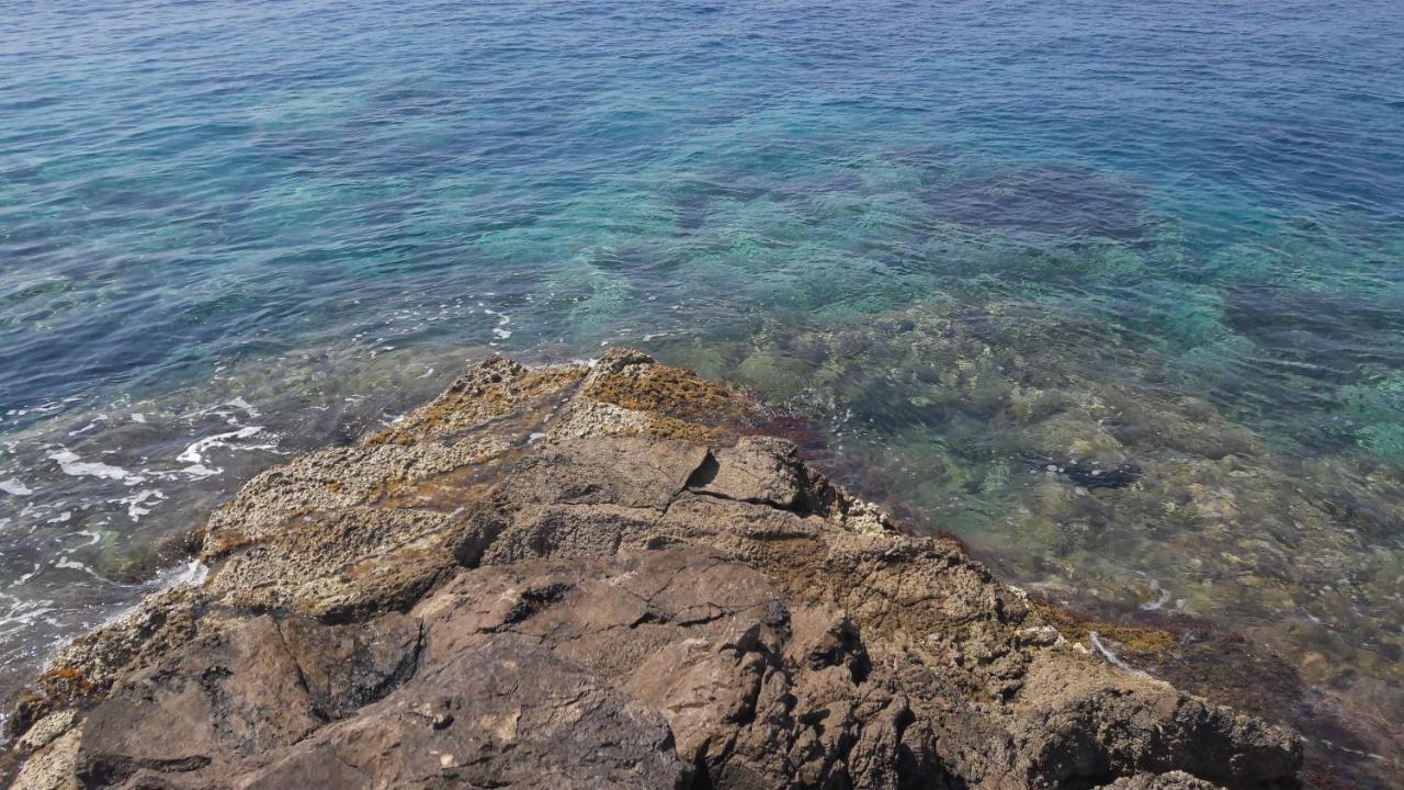 Apartments Rotim, Mljet, Sutmiholjska Babino Polje Zewnętrze zdjęcie