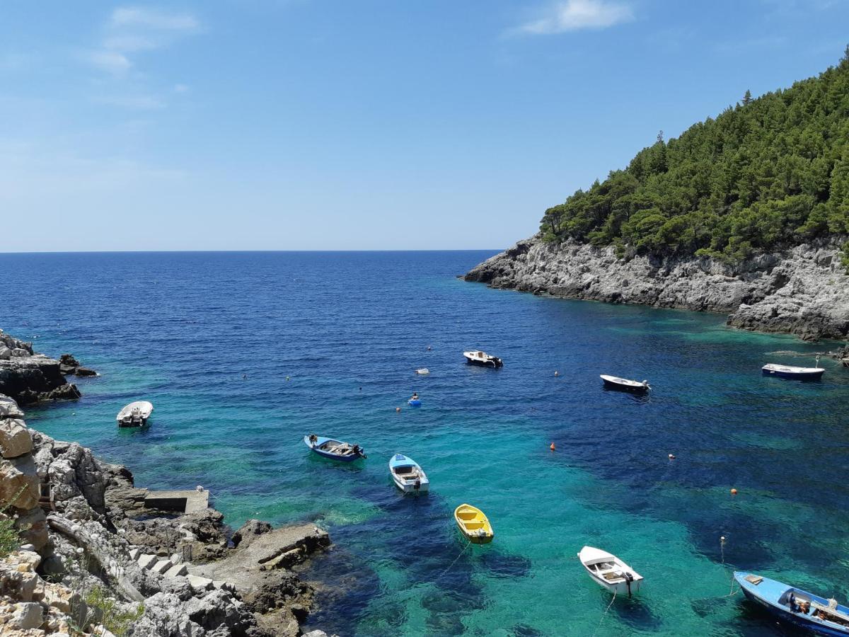 Apartments Rotim, Mljet, Sutmiholjska Babino Polje Zewnętrze zdjęcie