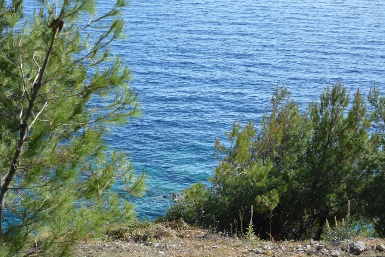 Apartments Rotim, Mljet, Sutmiholjska Babino Polje Zewnętrze zdjęcie